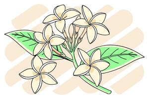 Cream Plumeria Flowers Line Art Elegant Botanical Illustration High Res . vector
