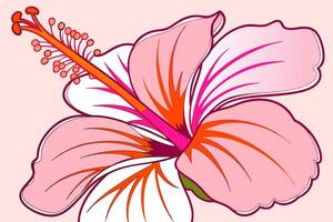 Professional Hibiscus Flower Illustration Pink, Orange. vector