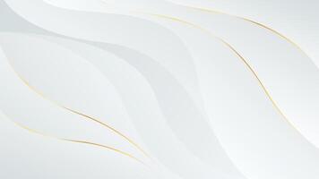 Abstract white-gray luxury background with gold lines, Elegant modern wallpaper with flowing waves. vector