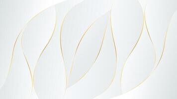 Abstract white-gray luxury background with gold lines, modern wallpaper with flowing waves. vector