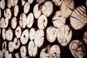 A pile of logs stacked up against a wall photo
