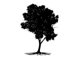 Black Trees and root with leaves look beautiful and refreshing. vector