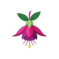 Fuchsia flower isolated flat illustration on white background. vector