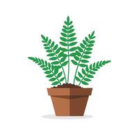 Cut out fern plant in a pot isolated flat illustration on white background. vector