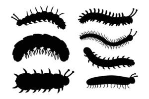 Caterpillars, centipede set. Spring, summer colorful different element set silhouettes isolated flat illustration on white background vector
