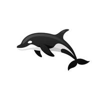 Killer whale jump isolated flat illustration on white background vector