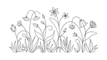 Abstract meadow line with grass and flowers bellflower continuous line art isolated on white background vector