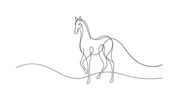 Horse continuous line art isolated on white background. vector