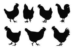 Hen set silhouettes isolated flat illustration on white background. vector