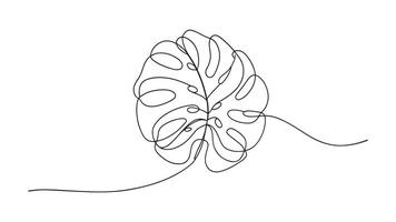 Monstera leaf continuous line art isolated on white background vector