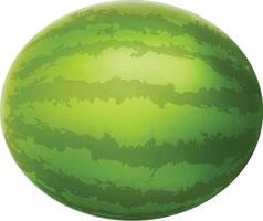Realistic Organic Watermelon Fruit vector