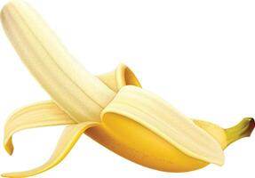 Realistic organic single banana vector