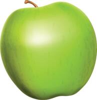 Realistic Green Apple vector