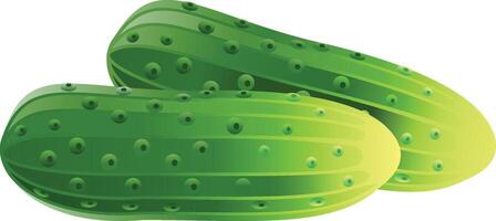 Realistic organic green cucumber vector