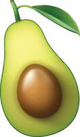 Half of Realistic organic avocado with leaves vector