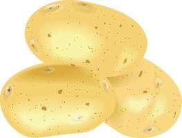 Realistic Organic Three Potatoes vector