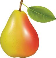 Realistic Red Pear Fruit with Leaf vector