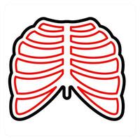 Radiology and ray icon concept vector