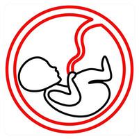 Fetus and pragant icon concept vector