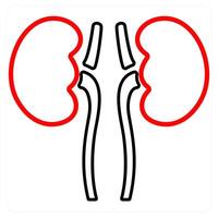 Pulmonology and lungs icon concept vector