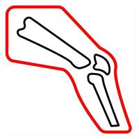 Orthopedics and bone icon concept vector