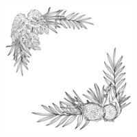 monochrome tropical fruits and leaves square border with empty space for text. pitaya slices and monstera , palm leaves line art black ink sketch. Floral illustration for invitation vector