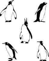 Penguin Silhouette set illustration vector