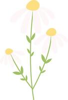 Flower with White Colors vector