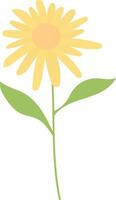 Sunflower Illustration on White Background vector