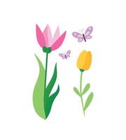 Flowers and butterflies on a white background vector
