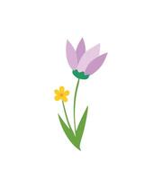 A purple flower and yellow flower are shown in a flat design vector