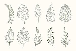 Outline Collection of Tropical Leaf Silhouettes in Hand Drawn Style. Branches of herbs isolated on white background. Botanical plants with leaves. Simple black ink greenery vector