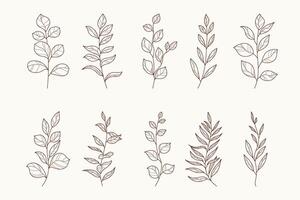 Outline Branches Silhouettes in Hand Drawn Style. Floral herbs isolated on white background. Botanical plants with leaves. Simple black ink greenery vector