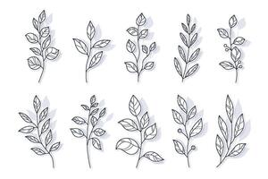 Floral Outline Silhouettes in Hand Drawn Style. Branches of herbs isolated on white background. Botanical plants with leaves. Simple black ink greenery vector