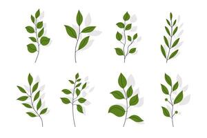 Branches with Leaves in Hand Drawn Flat Style. Branches of herbs isolated on white background. Botanical plants with leaves. Simple black ink greenery vector