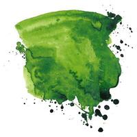 Hand Painted Green Watercolor Abstract Splash Isolated on White Background. Fluid organic shape with drops. Modern splatter with vibrant colors vector