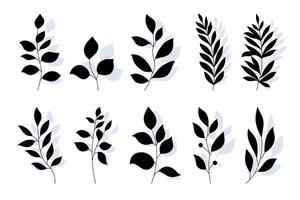 Floral Silhouettes in Hand Drawn Style. Branches of herbs isolated on white background. Botanical plants with leaves. Simple black ink greenery vector