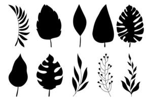 Tropical Leaf Silhouettes in Hand Drawn Style. Branches of herbs isolated on white background. Botanical plants with leaves. Simple black ink greenery vector