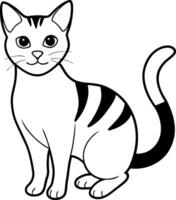 Beautiful cat with black and white color design vector