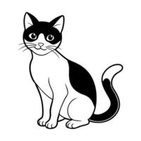 Beautiful black and white cat design vector