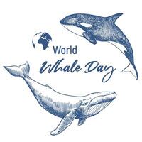 Poster for Whale Day, February 19, 2025. Drawing of an orca and a humpback whale. The concept of global conservation of nature and diversity of marine mammals on planet Earth. Monochrome emblem vector