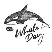 Whale Day emblem, February 19, 2025. linear drawing of killer whale. Concept of global problem of preserving animal diversity in the ocean. Orca design for t-shirt. vector