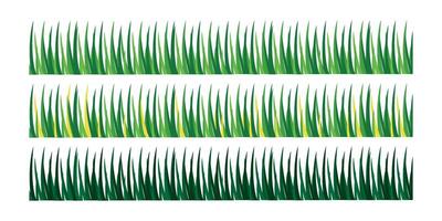 collection of green grass on white background vector