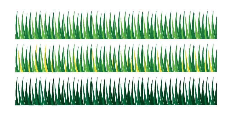 collection of green grass on white background