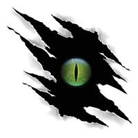 Animals Scratch Claw with Green eyes Background vector