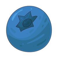 Illustration of blueberry vector