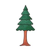 Illustration of pine tree vector
