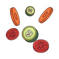 Illustration of vegetable slices vector