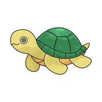 Illustration of turtle vector