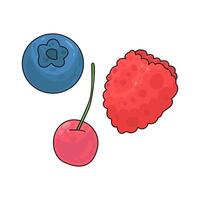 Illustration of fruit vector
